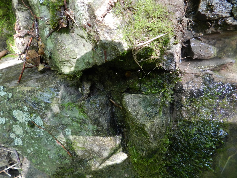 DSCN9673.JPG