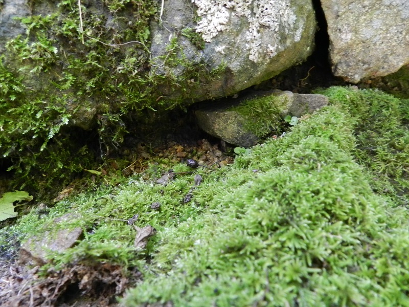 DSCN9672.JPG